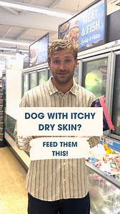 76K views · 640 reactions | Dry and itchy skin is a huge issue in dogs, I see it all the time. And so often, owners look to expensive shampoos/oils/ointments to put on their dog. But what they don't do, is look at how their dog's diet can affect their skin. Add this one ingredient to their diet and I reckon you'll see more of a difference than any of the expensive shampoos... Cam | The Dog Nutritionist | Facebook
