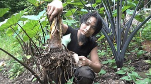 The most delicious and full meal, Wilderness alone We only use only page facebook (https://www.facebook.com/Nolan.Sumatra) and do not have twitter, as well as blog (except for the fake ones). This is the North of Vietnam – a place full of unforeseen dangers and risks. Insects, centipedes and snakes are very dangerous, must be very careful when moving, holding, climbing and lifting stones. These skills are learned through books, the internet and real life experiences. Our normal day is like you a