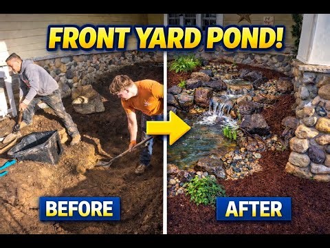 Pond Installation Gig Harbor WA