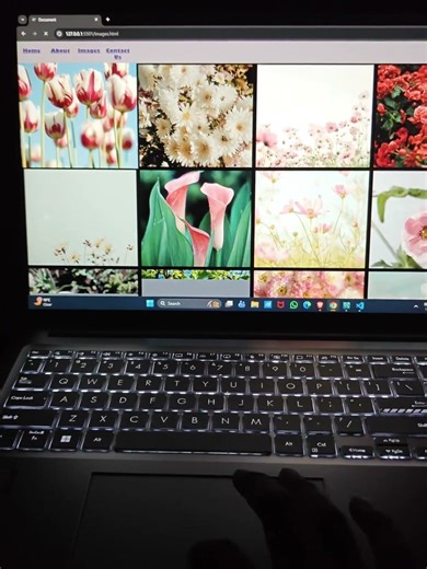 #webdevelopment #html #css #miniproject #flowers