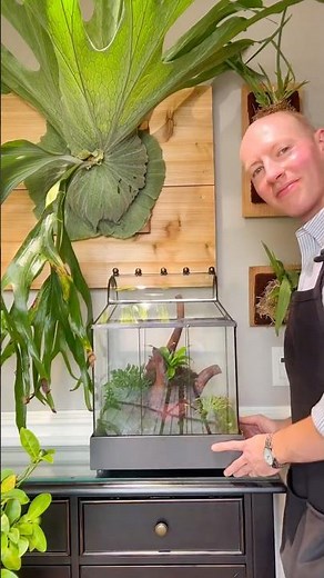 Making a Terrarium for Carnivorous Plants | DIY Setup & Care Tips!