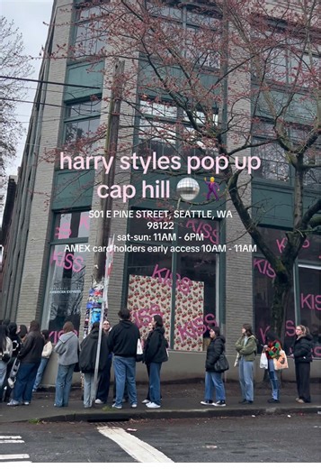 Harry Styles Merchandise Haul from Seattle Event