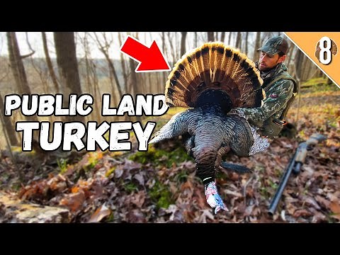 ILLINOIS PUBLIC LAND GOBBLER!!! - (3 Day Hunt for a TOUGH Turkey!)