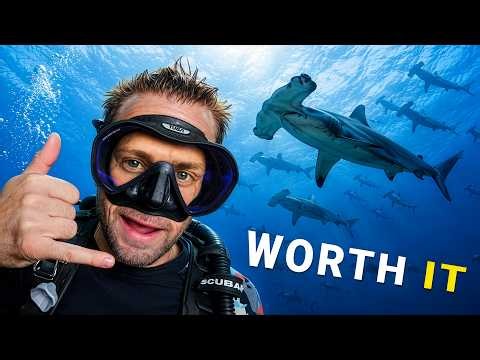 8 Bucket List Dive Trips Worth Dreaming About