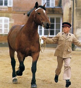 Norman Cob - Alchetron, The Free Social Encyclopedia