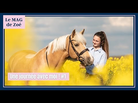 Zoé's MAG: A day in my shoes, Part 1! New mare + morning routine and trotting