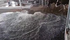 [Hot Item] Miling Room Over All Hot-DIP Galvanized Fecal Water Backwash Airbag Valve