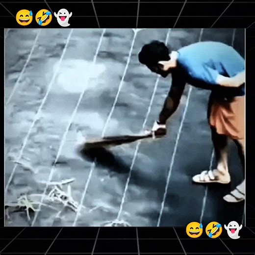 #creatorsearchinsights #viral #funny #fyp