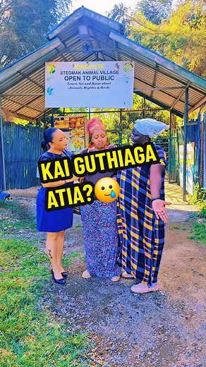 Kai Gùthiaga Atia: Viviano Dance Challenge Highlights