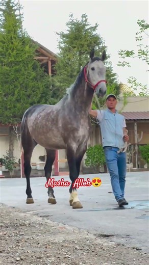 5 апреля 2026 г.