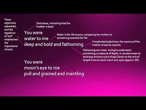 'Praise Song For My Mother' by Grace Nichols (GCSE analysis)