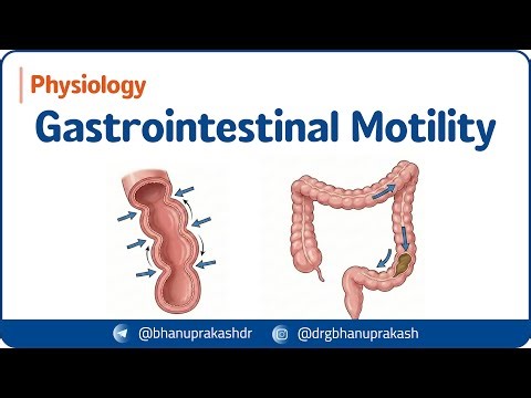 7. Gastrointestinal Motility | GI Physiology | USMLE Step 1 ⚡📊
