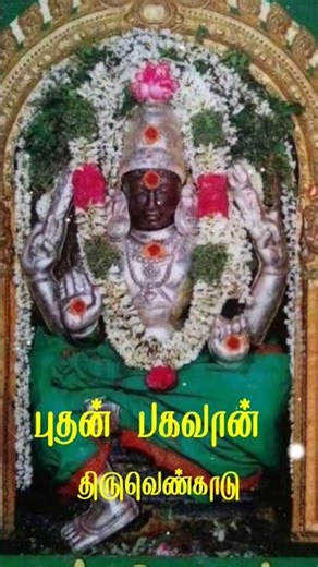 Lord Puthan pagavan #trending #devotional #shorts #highlights #puthandurasipalan2025