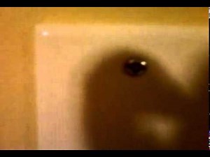 calorifere plinthe electrique bruyant.mp4