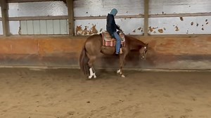 17 reactions · 3 comments | Shes A Cool Gal Triple Registered...