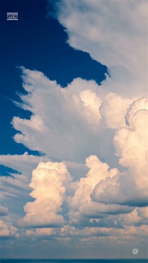"Endless Blue Sky and Ocean of Clouds ☁️✨青空に広がる果てしない雲海 ☁️✨ #ninja #cat #ドラム好き #ドラム好き