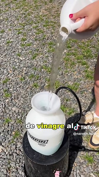 Effective Methods for Weeding Your Garden