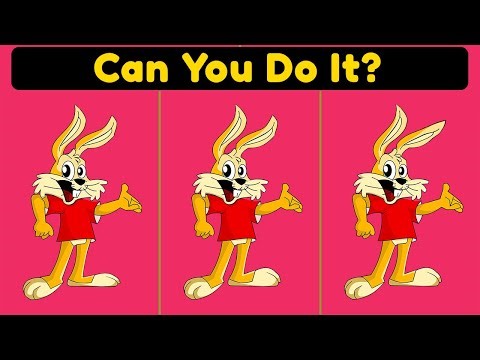 Find the Difference Challenge | Hard Puzzle for Adults