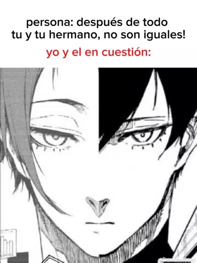 Similaridades entre hermanos: Itoshi Rin y yo