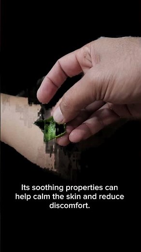 “#Spider Bite Relief: How #AloeVera Can Soothe Pain and Speed #Healing Naturally”
