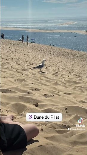 🏖️ Dune du Pilat – Un instant de liberté