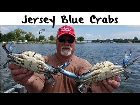 Northern New Jersey Blue Crab Fishing