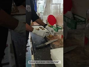 Tissue Blocking Preparation Step-by-Step Lab Protocol forParaffin Embedding📚#video #histology #long