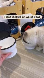 12K views · 821 reactions | When your cat’s water bowl just isn’t extra enough.  This toilet fountain keeps water fresh and fun—because hydration should never be boring! #ToiletBowlFountain #CatGadget #FunPetAccessory #StayHydrated #CatLovers | NioPets | Facebook