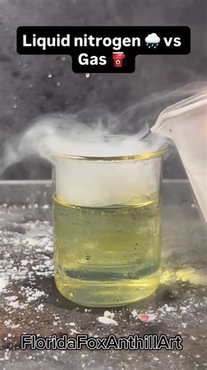 FloridaFox Anthill Art on Instagram: "Liquid nitrogen 🌧️ vs Gas ⛽️ #science #satisfying #experiment #asmr #liquidnitrogen #gas"