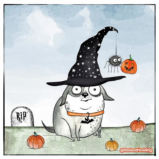 442K views · 19K reactions | Just a few more days....! | Red and Howling | Facebook