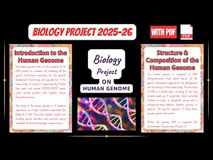 Human Genome Project Explained for Class 12 (2025) | Complete Biology File, Summary & Applications
