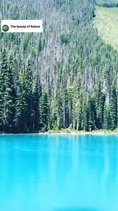 😍🌺🌸🌹The beauty of Canada 😍🌺🌸🌹 | The beauty of Nature