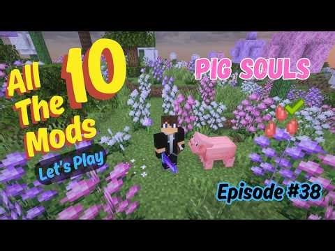 ATM10 Let's Play - Episode 38 | Pig Seeds