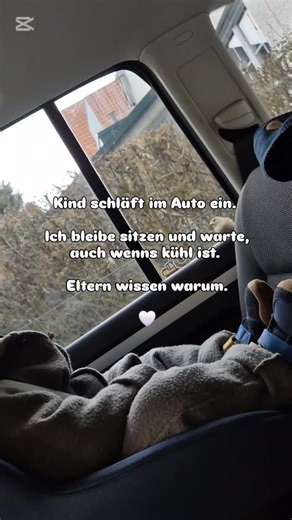 Babygebärden, bindungsorientierte Elternschaft on Instagram: "Er ist eingeschlafen ‼️😴 Im Auto. Motor aus. Jacke an. 0 Grad Außentemperatur 🥶 Und ich? Ich sitze da. Beweg mich nicht. Atme flach. Trau mich nicht mal, die Tür zu öffnen. 😅 Jede Mama weiß: Ein schlafendes Kind im Auto ist heiliger als Kaffee am Morgen. Also sitz ich hier. Friere ein bisschen. Und genieße die Stille 🤍 💬 Was machst du wenn dein Zwerg im Auto einschläft? 👉 Folge @nathalie.talkinghands für echten Mama Alltag und B