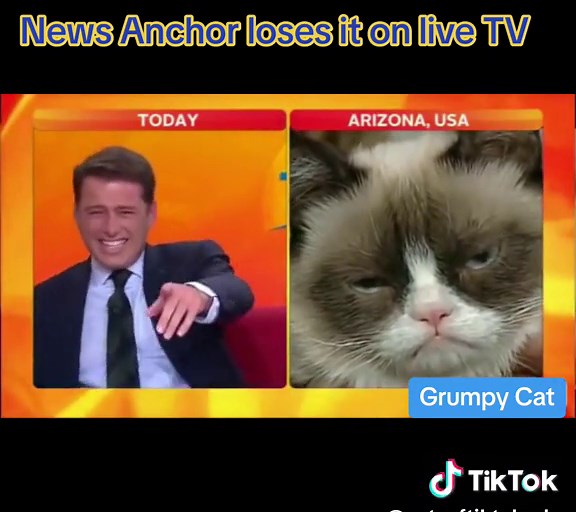 Karl Stefanovic Laughing at Grumpy Cat | News Anchor Interview