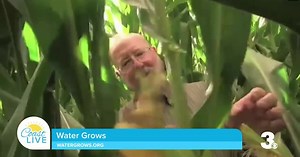 Farmers using Hi-Tech to Grow Crops on Coast Live