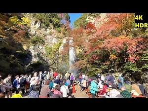 4K HDR【紅葉/阪急箕面駅→箕面大滝/2021】11/26(金) 明治の森 箕面国定公園