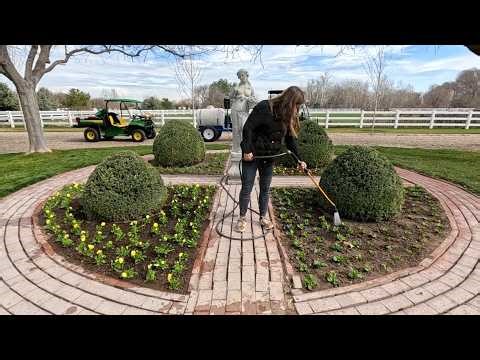 Planting the Persephone Garden with our Seed Grown Pansy/Violas & Lawn Maintenance w/ Aaron! 🌸🙌🌾