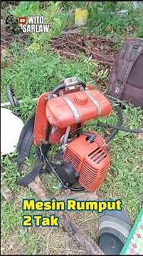 After 10 Years of Use! This 2-Stroke Lawn Mower Still Goes Strong in the Garden