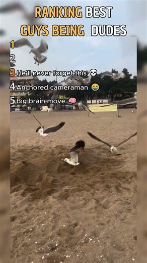 Guys Being Dudes 🤣 #funny #memes