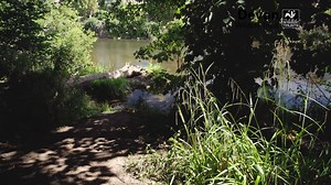 1.3K views · 38 reactions | A series of new films have been released...