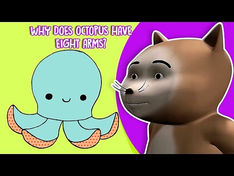 why does an octopus have 8 legs? Science Facts about Octopus for kids
