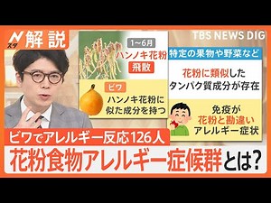 花粉食物アレルギー症候群とは？ 給食のビワ食べ… 小･中学校の126人がアレルギー反応【Nスタ解説】｜TBS NEWS DIG
