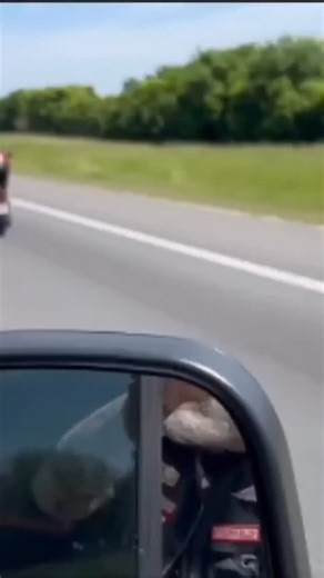 Hells Angels Bike Lover on Instagram