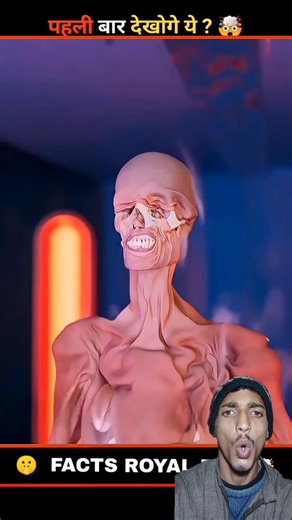 What Happens Agar Human Body Ko Hydraulic Press Se Dabaya Jaye? | Educational Video#facts