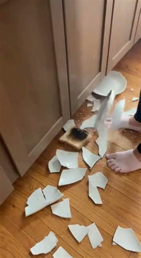 Toaster chooses violence! 🍞💥