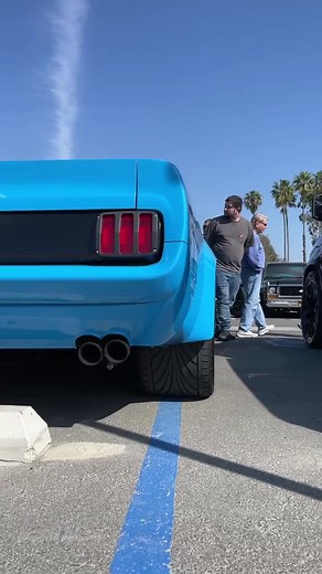 Classic Ford Mustang Showcase with Stunning Features