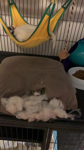 I be messing with them for no reason 😂🤦🏾‍♂️ #fyp #viral #CustomersMostLoved