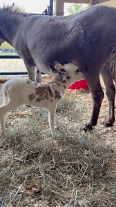 982K views · 27K reactions | Looking back on old videos, it’s amazing...