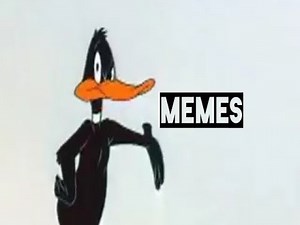 Daffy duck - Duck amuck sound effects memes